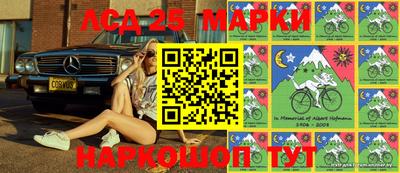 гашик Берёзовский