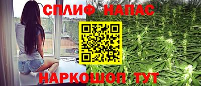 гашик Берёзовский