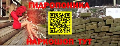 гашик Берёзовский