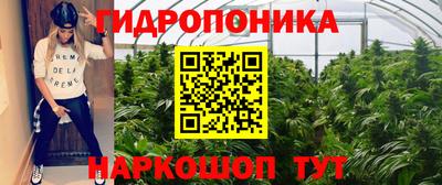 гашик Берёзовский