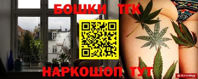 гашик Берёзовский