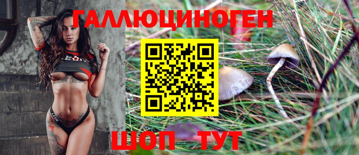 Галлюциногенные грибы Psilocybine cubensis  Вход с VPN  Галлюциногенные грибы Cubensis  Губкин 