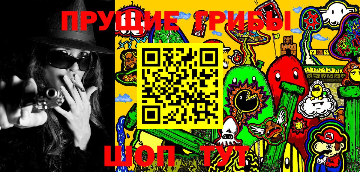 Псилоцибиновые грибы Psilocybe Губкин