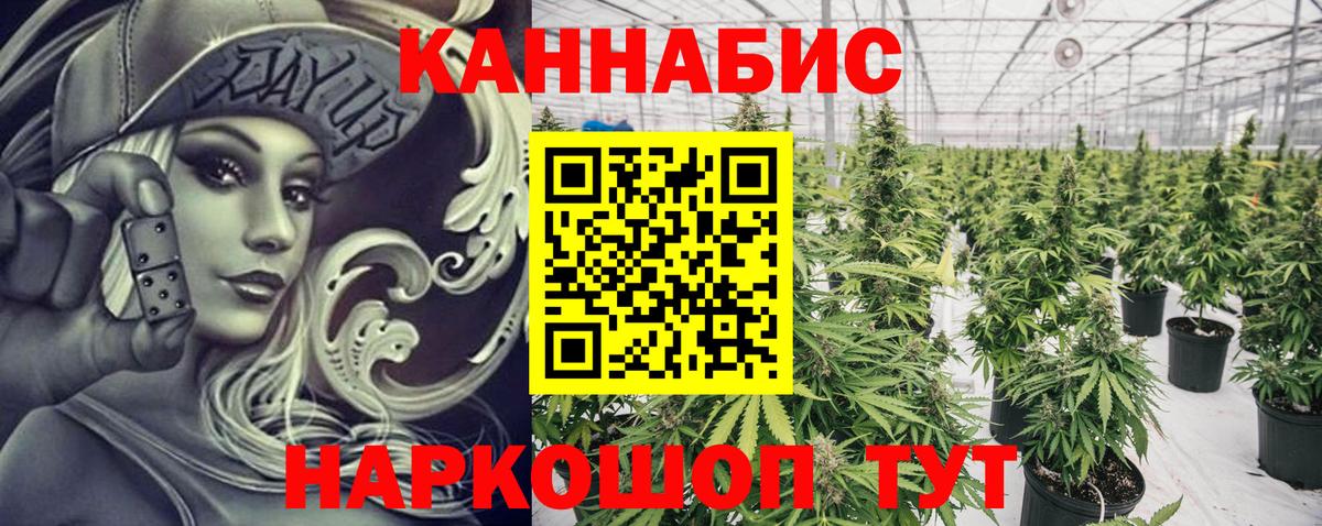 Губкин  Конопля VHQ  Вход с VPN  МАРИХУАНА ГИДРОПОН 